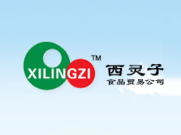 東莞市西靈子食品貿易 開啟飲料行業新商機，火爆糖酒食品招商網助力代理合作
